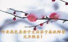 Published on 1/1/2017 ���ֹ�,��½�󷨵��ӹ�ףʦ�������(32��)