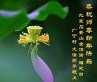 Published on 1/1/2017 ���ֹ�,��½�󷨵��ӹ�ףʦ�������(31��)
