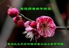 Published on 1/1/2017 ���ֹ�,��С�������꾴��ʦ��