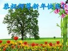 ���ֹ�,�ػʵ��󷨵��ӹ�ףʦ�������(28��)