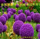 ���ֹ�,��������󷨵��ӹ�ףʦ������(23��)
