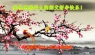 Published on 1/1/2016 ���ֹ�,���ϴ󷨵��ӹ�ףʦ���������(26��)
