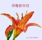 ���ֹ�,�����󷨵��ӹ�ףʦ���������(28��)
