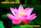���ֹ�,�����󷨵��ӹ�ףʦ���������(27��)
