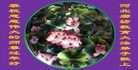 ���ֹ�,�ȷ��󷨵��ӹ�ףʦ������(23��)
