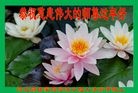 ���ֹ�,�ȷ��󷨵��ӹ�ףʦ������(23��)
