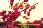 ���ֹ�,�����󷨵��ӹ�ףʦ���������(27��)
