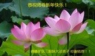 ���ֹ�,�ӱ��󷨵��ӹ�ףʦ���������(26��)
