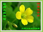 Published on 2/7/2016 ���ֹ�,��½�󷨵��ӹ�ףʦ�������(29��)

