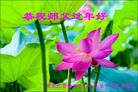 Published on 2/7/2016 ���ֹ�,��½�󷨵��ӹ�ףʦ�������(27��)
