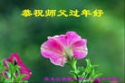 Published on 2/8/2016 ���ֹ�,��½�󷨵��ӹ�ףʦ�������(43��)
