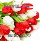 ���ֹ�,���ϴ󷨵��ӹ�ףʦ�������(27��)
