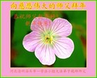 Published on 2/7/2016 ���ֹ�,��½�󷨵��ӹ�ףʦ������(27��)
