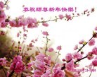 Published on 2/8/2016 ���ֹ�,��½�󷨵��ӹ�ףʦ������(37��)

