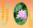 Published on 2/7/2016 ���ֹ�,��½�󷨵��ӹ�ףʦ������(27��)
