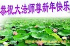Published on 2/8/2016 ���ֹ�,��½�󷨵��ӹ�ףʦ������(29��)
