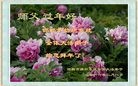 Published on 2/8/2016 ���ֹ�,��½�󷨵��ӹ�ףʦ������(36��)
