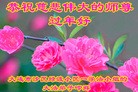 Published on 2/8/2016 ���ֹ�,��½�󷨵��ӹ�ףʦ������(42��)
