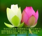 Published on 2/7/2016 ���ֹ�,��½�󷨵��ӹ�ףʦ������(27��)
