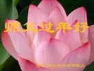Published on 2/8/2016 ���ֹ�,��½�󷨵��ӹ�ףʦ������(42��)
