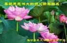 Published on 2/8/2016 ���ֹ�,��½�󷨵��ӹ�ףʦ������(29��)
