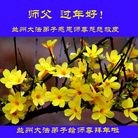 ���ֹ�,����󷨵��ӹ�ףʦ������(26��)
