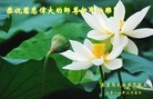 ���ֹ�,�ػʵ��󷨵��ӹ�ףʦ������(28��)

