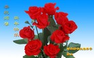 Published on 2/7/2016 ���ֹ�,��½�󷨵��ӹ�ףʦ������(27��)
