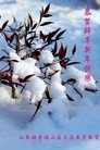 Published on 2/7/2016 ���ֹ�,��½�󷨵��ӹ�ףʦ������(27��)
