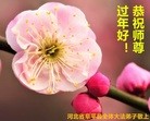 ���ֹ�,�����󷨵��ӹ�ףʦ������(24��)
