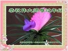 ���ֹ�,ʯ��ׯ�󷨵��ӹ�ףʦ������(31��)
