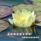 ���ֹ�,���󷨵��ӹ�ףʦ������(29��)
