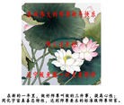 Published on 2/7/2016 ���ֹ�,��½�󷨵��ӹ�ףʦ������(35��)
