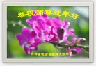 Published on 2/7/2016 ���ֹ�,��½�󷨵��ӹ�ףʦ������(35��)
