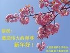 Published on 2/8/2016 ���ֹ�,��½�󷨵��ӹ�ףʦ������(36��)
