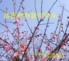 Published on 2/8/2016 ���ֹ�,��½�󷨵��ӹ�ףʦ������(39��)
