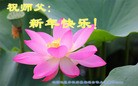Published on 2/8/2016 ���ֹ�,��½�󷨵��ӹ�ףʦ������(34��)
