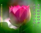 Published on 2/8/2016 ���ֹ�,��½�󷨵��ӹ�ףʦ������(30��)
