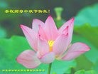 ���ֹ�,ʯ��ׯ�󷨵��ӹ�ףʦ�������(29��)
