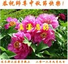 ���ֹ�,��ľ˹�󷨵��ӹ�ףʦ���������(22��)