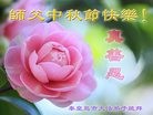 ���ֹ�,�ػʵ��󷨵��ӹ�ףʦ���������(22��)
