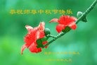 ���ֹ�,�żҿڴ󷨵��ӹ�ףʦ�������(25��)