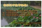 ���ֹ�,�ӱ��󷨵��ӹ�ףʦ���������(24��)
