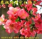 ���ֹ�,����󷨵��ӹ�ףʦ���������(26��)
