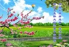 ���ֹ�,�ػʵ��󷨵��ӹ�ףʦ���������(25��)