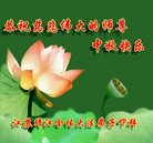 ���ֹ�,���մ󷨵��ӹ�ףʦ�������(24��)