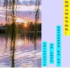 ���ֹ�,���ϴ󷨵��ӹ�ףʦ���������(27��)