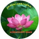 ���ֹ�,ɽ���󷨵��ӹ�ףʦ���������(25��)