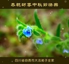 ���ֹ�,�Ĵ��󷨵��ӹ�ףʦ���������(20��)