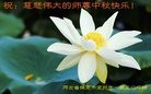 ���ֹ�,�����󷨵��ӹ�ףʦ���������(24��)